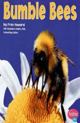 Bumble Bees by Fran Howard