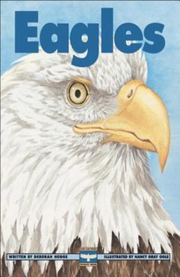 Eagles by Deborah Hodge