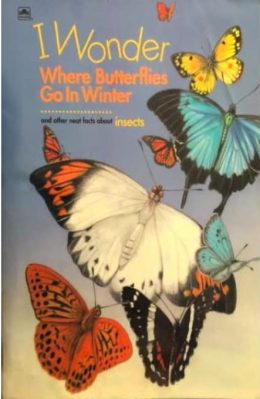 I Wonder where Butterflies Go in Winter and other facts about Insects by Molly Marr