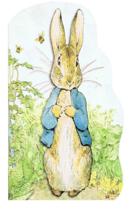 Peter Rabbit by Warne Beatrix Potter