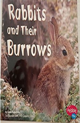 Rabbits and their Burrows by Linda Tagliaferro