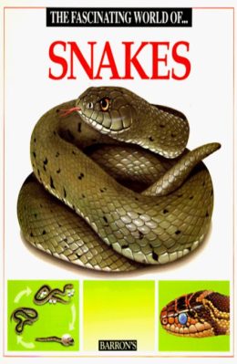 The Fascinating world of Snakes by Angels Julivert