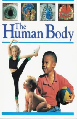 The Human body by Stacy Savran