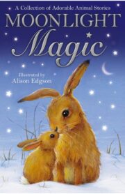 Moonlight Magic by Alison Edgson