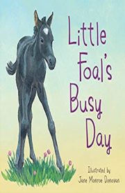 Little Foal's Busy Day by Jane Monroe Donovan