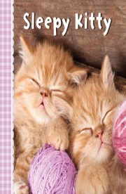 Sleepy Kitty by Sterling Books