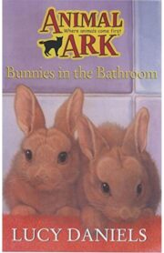 Bunnies in the Bathroom(Animal Ark) by Lucy Daniels