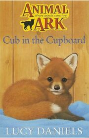 Cub in the Cupboard (Animal Ark) by Lucy Daniels
