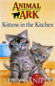 Kittens in the Kitchen (Animal Ark) by Lucy Daniels