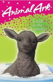 Lamb in the Laundry (Animal Ark) by Lucy Daniels