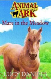 Mare in the Meadow (Animal Ark) by Lucy Daniels