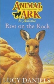 Roo in the Rock (Animal Ark) by Lucy Daniels
