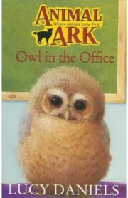 Owl in the Office (Animal Ark) by Lucy Daniels