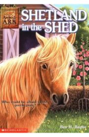 Shetland in the shed (Animal Ark) by Lucy Daniels