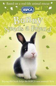Bunny Needs a Friend (RSPCA) by Jill Hucklesby