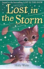 Lost in the Storm by Holly Webb