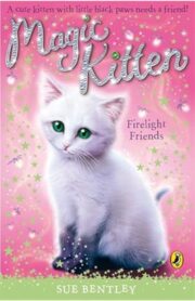 Magic Kitten #10 Firelight Friends by Sue Bentley