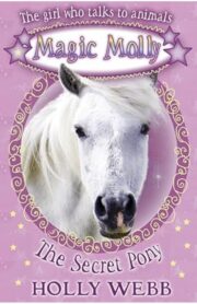 The Secret Pony (Magic Molly) by Holly Webb