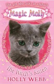 The Witchs Kitten (Magic Molly) by Holly Webb
