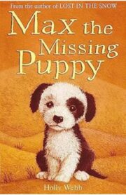Max the Missing Puppy by Holly Webb