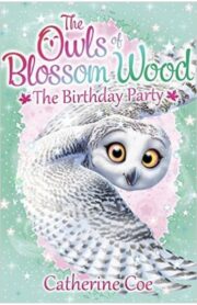 The Owl of Blossom Wood - The Birthday Party by Catherine Coe