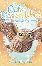 The Owl of Blossom Wood - An Enchanted Wedding by Catherine Coe