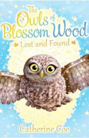 The Owl of Blossom Wood - Lost and found by Catherine Coe