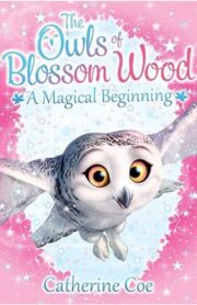 The Owl of Blossom Wood - A Magical Beginning by Catherine Coe