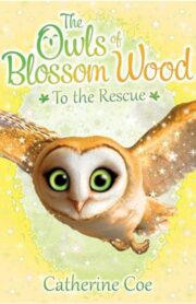 The Owl of Blossom Wood - To the Rescue by Catherine Coe