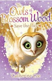 The Owl of Blossom Wood - Saves the Day by Catherine Coe