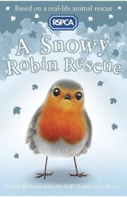 A Snowy Robin Rescue (RSPCA) by Mary Kelly
