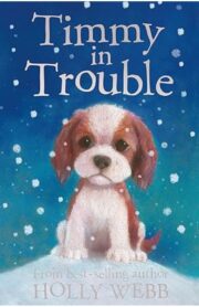 Timmy in Trouble by Holly Webb