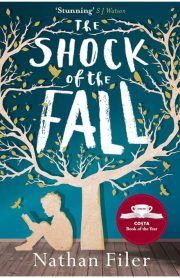 The Shock of the Fall by Nathan Filer
