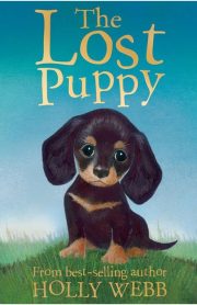 The Lost Puppy by Holly Webb