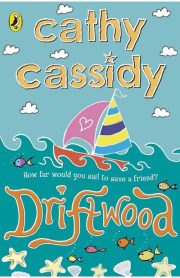 Drift Wood by Cathy Cassidy