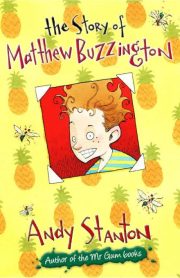 The Story of Matthew Buzzington by Andy Stanton