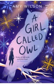 A Girl Called Owl by Amy Wilson