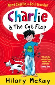 Meet Charlie - he's trouble! Charlie & The Cat Flap by Hilary McKay
