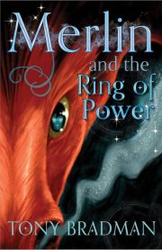 Merlin and the Ring of Power by Tony Bradman