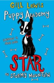Puppy Academy on Stormy Mountain by Gill Lewis