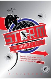 Storm The Infinity Code by E.L.Young