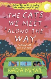 The Cat We Meet Along The Way by Nadia Mikail